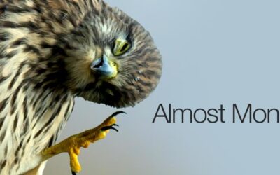 How to get your Monday off to a great start